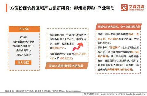 2023-2024年中国方便粉面食品行业发展研究报告