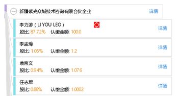 新疆紫光众城技术咨询有限合伙企业的专业咨询之路